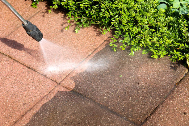 Best Roof Power Washing Services  in USA